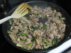 pork stir fry with green onion