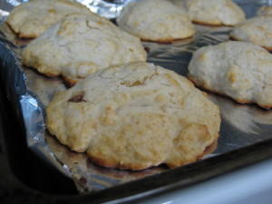 sweet biscuits
